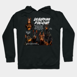 Doberman Pinscher Fun Facts Hoodie